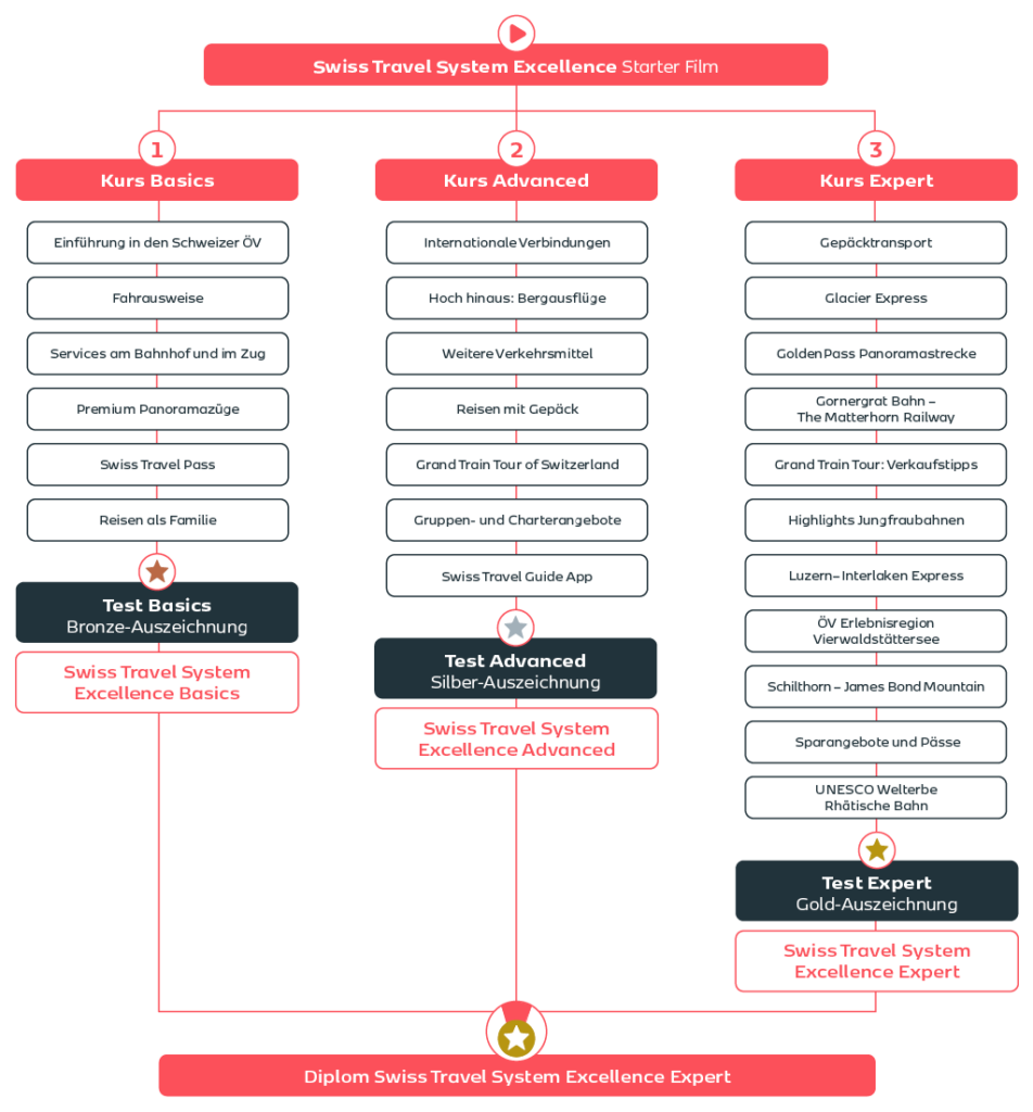 Ein Flussdiagramm das die verschiedenen Stufen der Kurse zeigt.