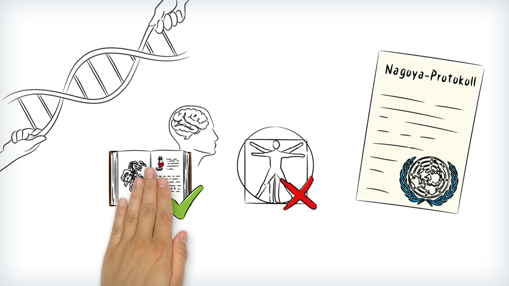 Illustration mit einer DNA-Helix, einem Buch mit einer realistischen Hand darauf, einem Gehirn, einem roten X über einer menschlichen Figur und dem Nagoya-Protokoll-Dokument.