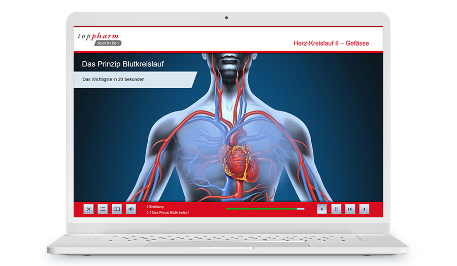 Laptop mit Screenshot aus dem Training, es zeigt das Prinzip des Blutkreislaufes.