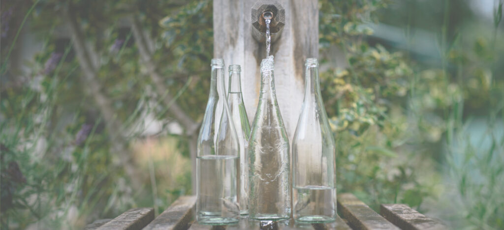 Mehrere Glasflaschen werden an einer natürlichen Quelle im Freien mit Wasser gefüllt.