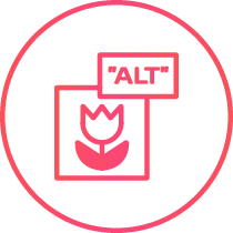 Ein Icon dass das Bildsymbol mit einer stilisierten Blume darin zeigt. Über dem Bild befindet sich ein Rechteck mit dem Text